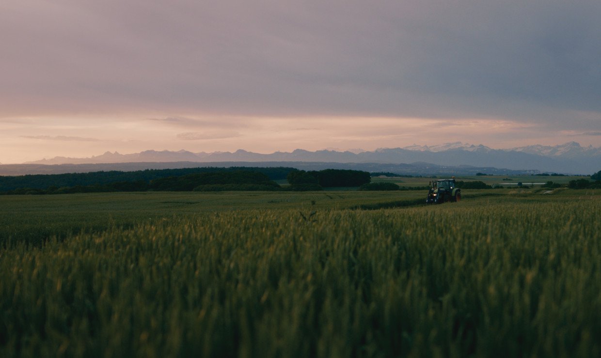 Der feine Unterschied